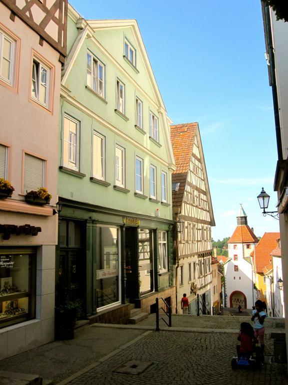 Ferienwohnung Am Ziegelbach Hechingen Dış mekan fotoğraf