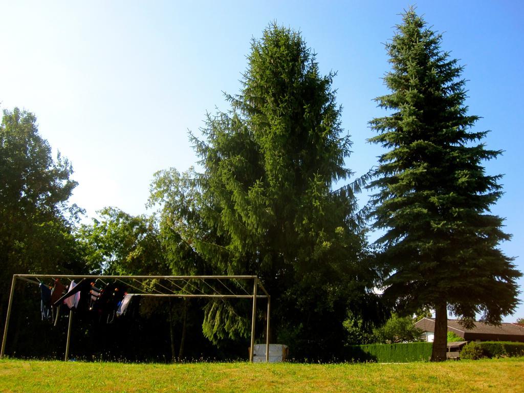 Ferienwohnung Am Ziegelbach Hechingen Dış mekan fotoğraf